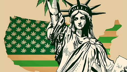 Marijuana and the US