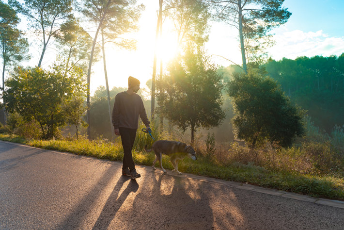Man walking a dog