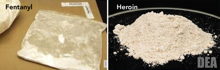 DEA Fentanyl and Heroin